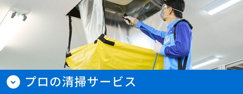 プロの清掃サービス